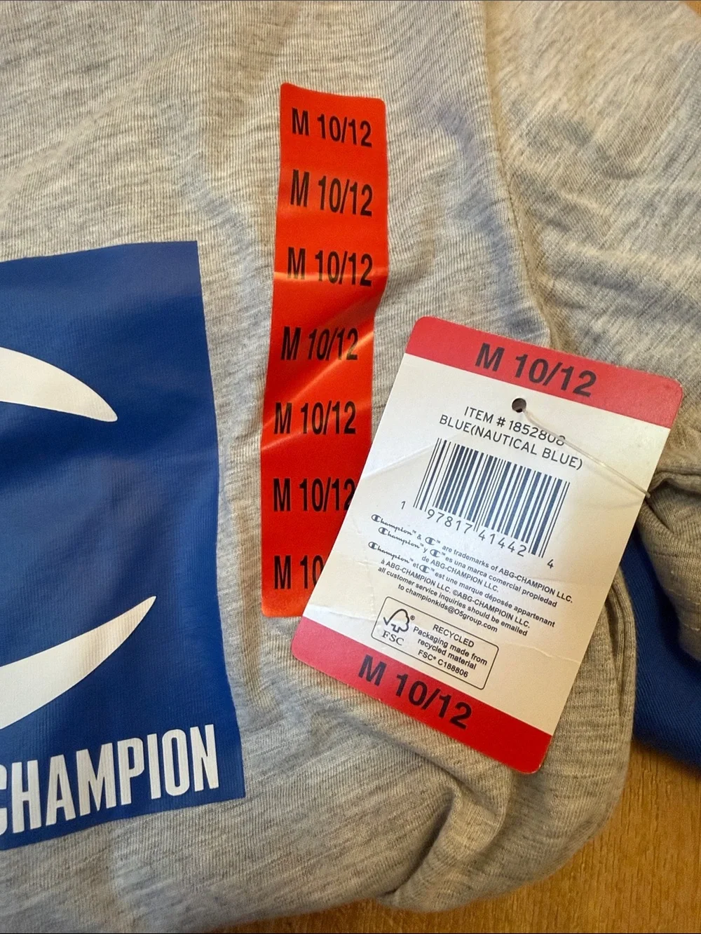 Champion Gray & Blue Block Logo T‑Shirt